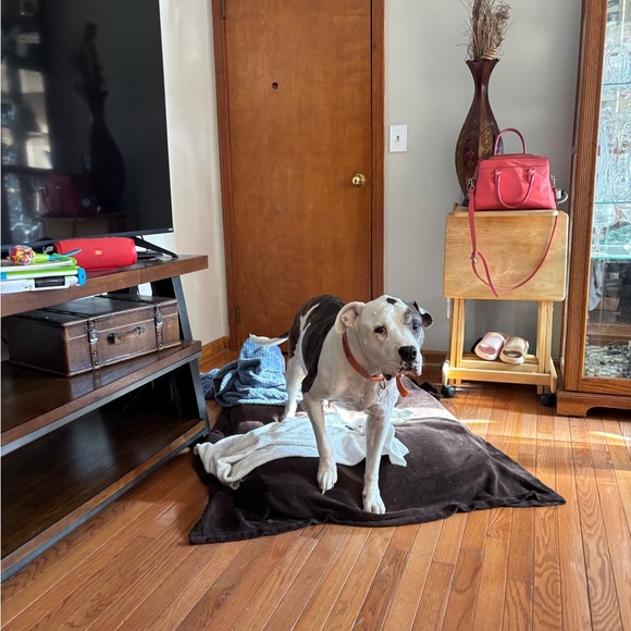 Meet your Posher, Joanna - Picture 9 of 16